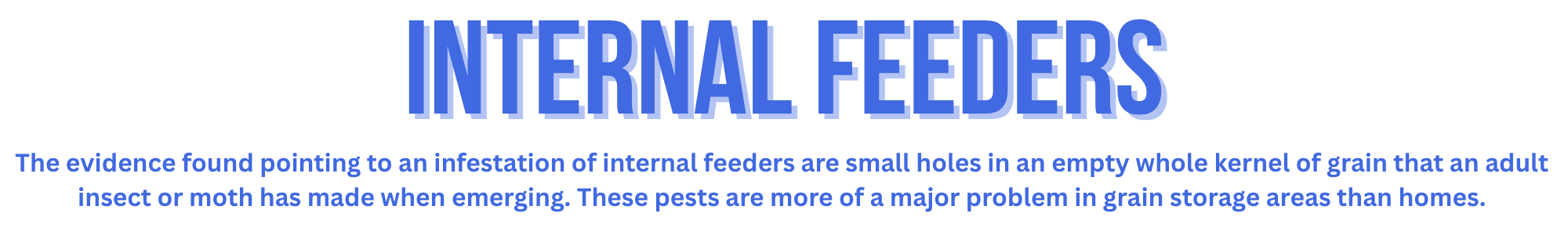 Internal Feeders (1)